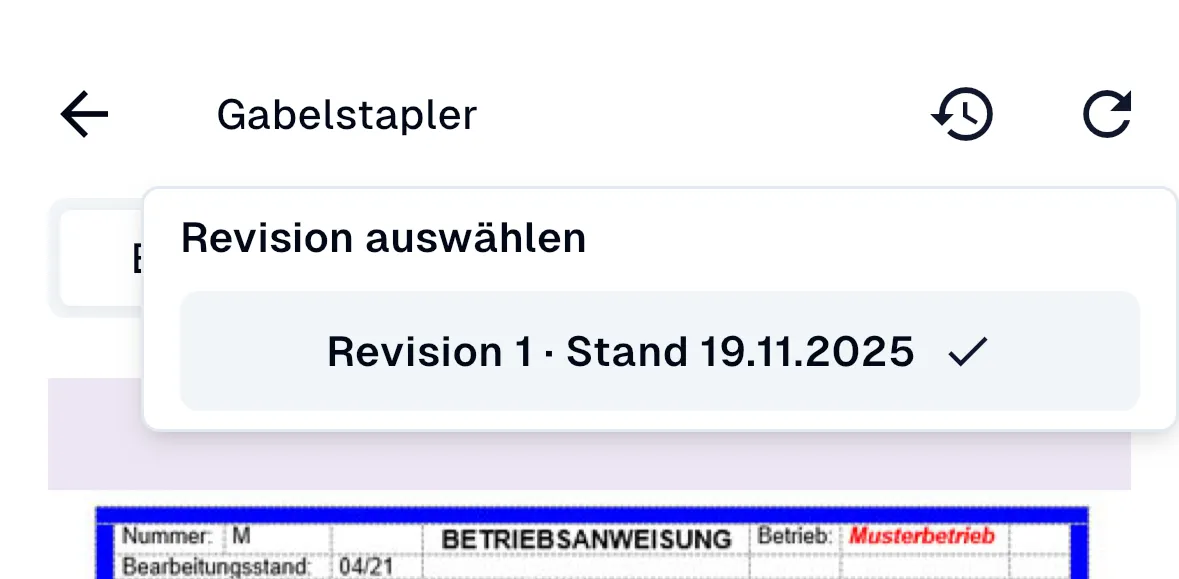 Revision auswählen